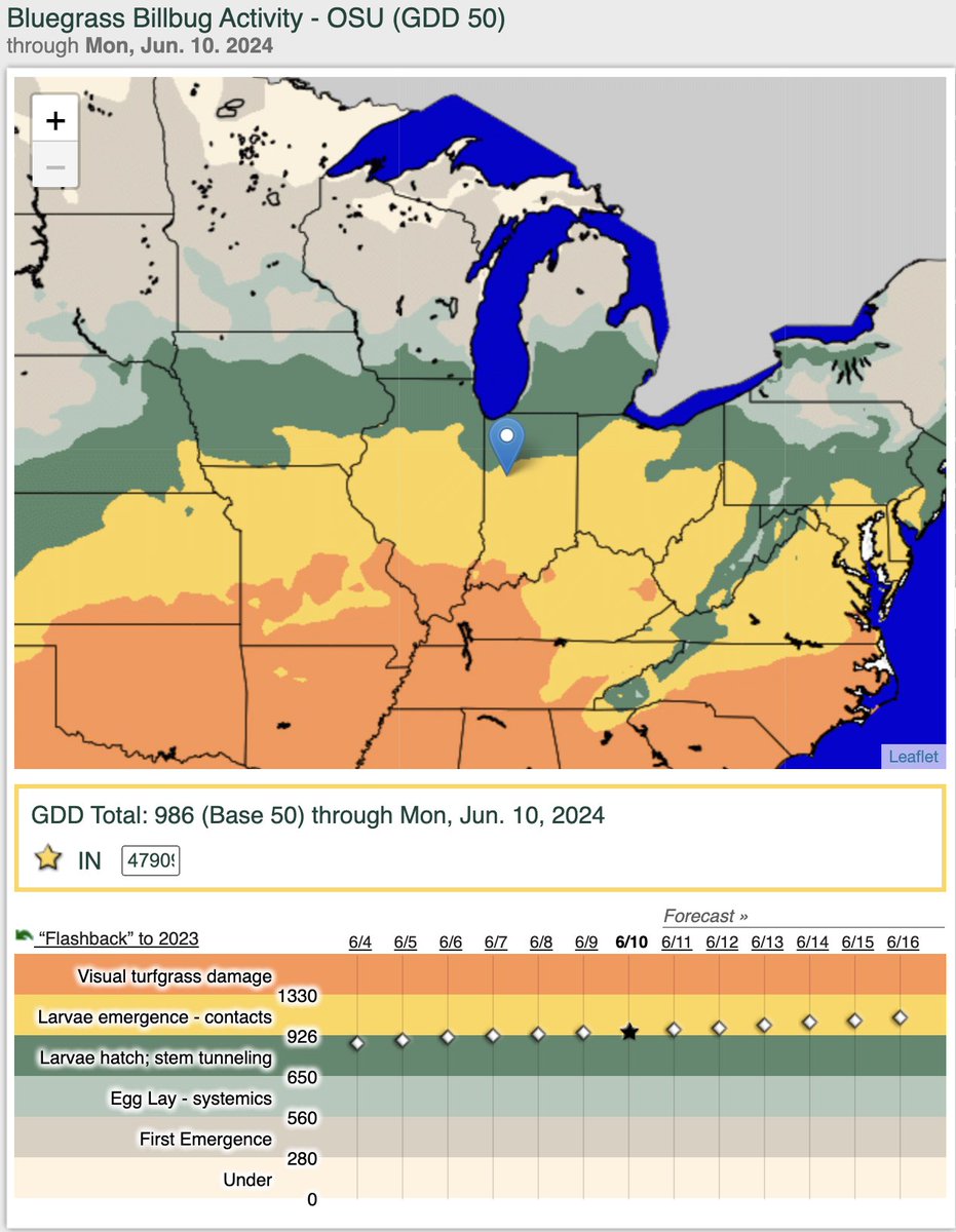 Just starting to find a few early instar #billbug larvae in the soil. Most of Indiana, Ohio, Illinois past the stem tunneling phase.  Damage will start to show relatively soon. Soil insecticides are the best option at this point. extension.entm.purdue.edu/publications/E…