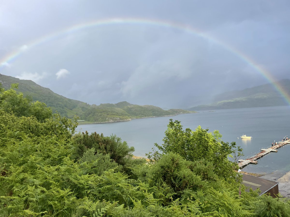 A bit late in the year but so pleased to get some scuba in at Loch Sunart this past weekend. Some absolutely stunning diving as a welcome back, including my first John Dory - a fish I’ve been hoping to see in the wild for at least 14 years. Also serpulids in Loch Teacuis 👌