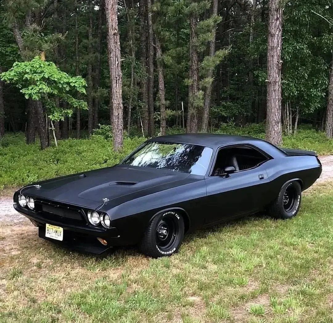 arabasevdamiz's tweet photo. Dodge Challenger 🔥 https://t.co/cRVah0mfCt