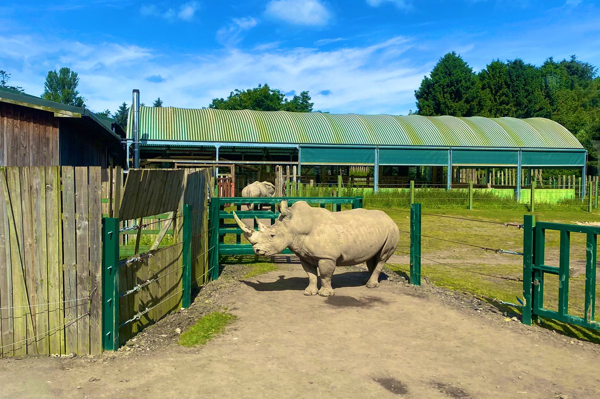 Mr Fraser tweet media