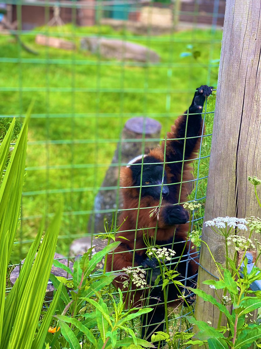 Mr Fraser tweet media