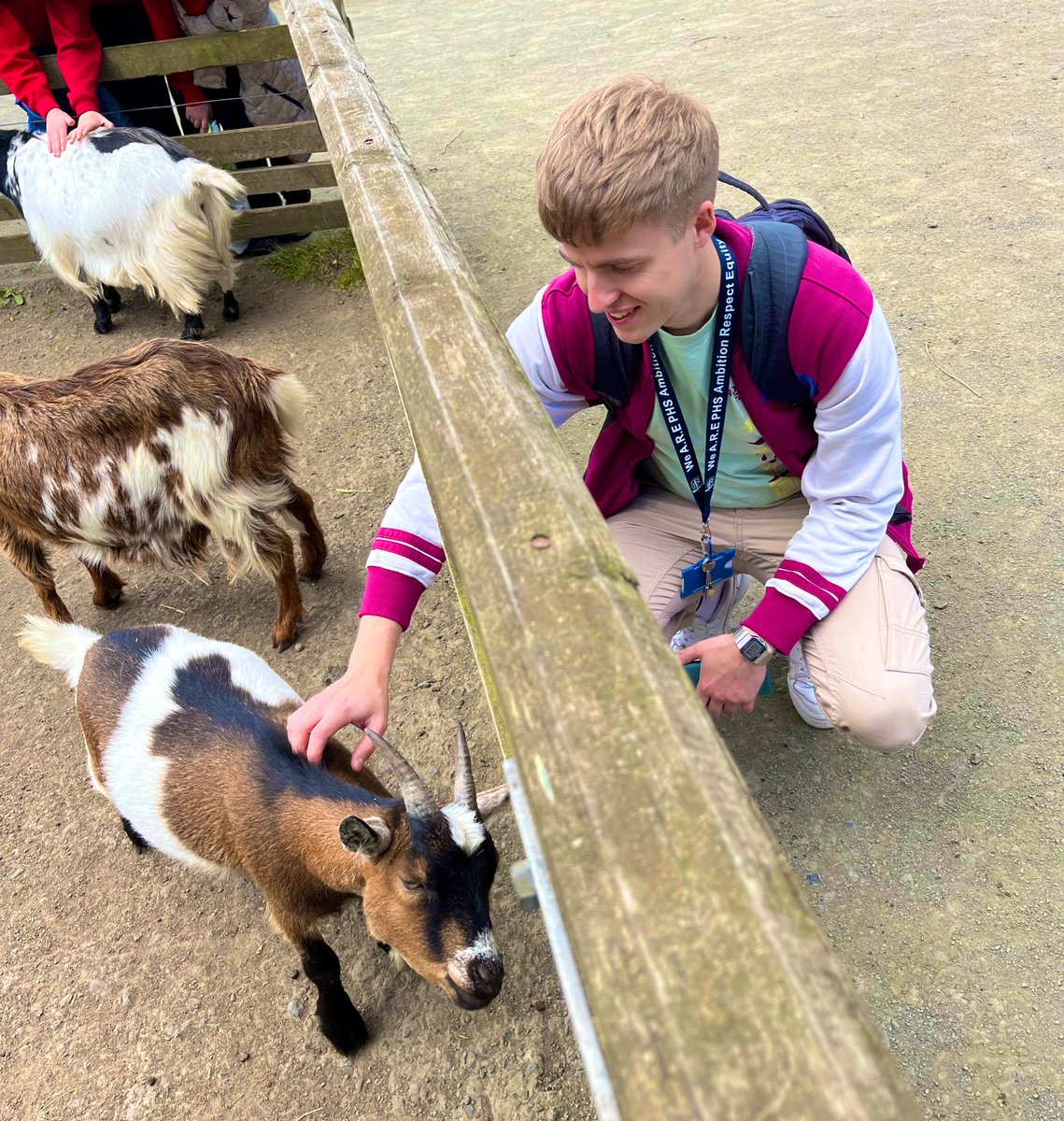 Mr Fraser tweet media