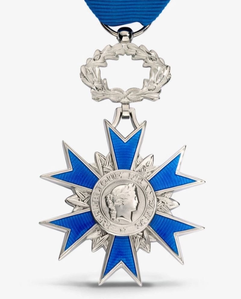 Pedro Novo tweet media