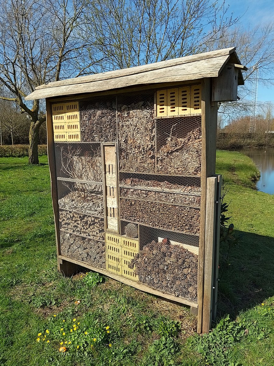 JefKPhotography's tweet photo. An insect hotel, a bug hotel. I saw this in a park.
Photography.
#insecthotel #insecthotels #bughotel #bughotels #insects #bugs #forbugs #forinsects #inapark #photography #photograph #photographs #photo #photos #picture #pictures #image #images https://t.co/qNdZi8tfQu