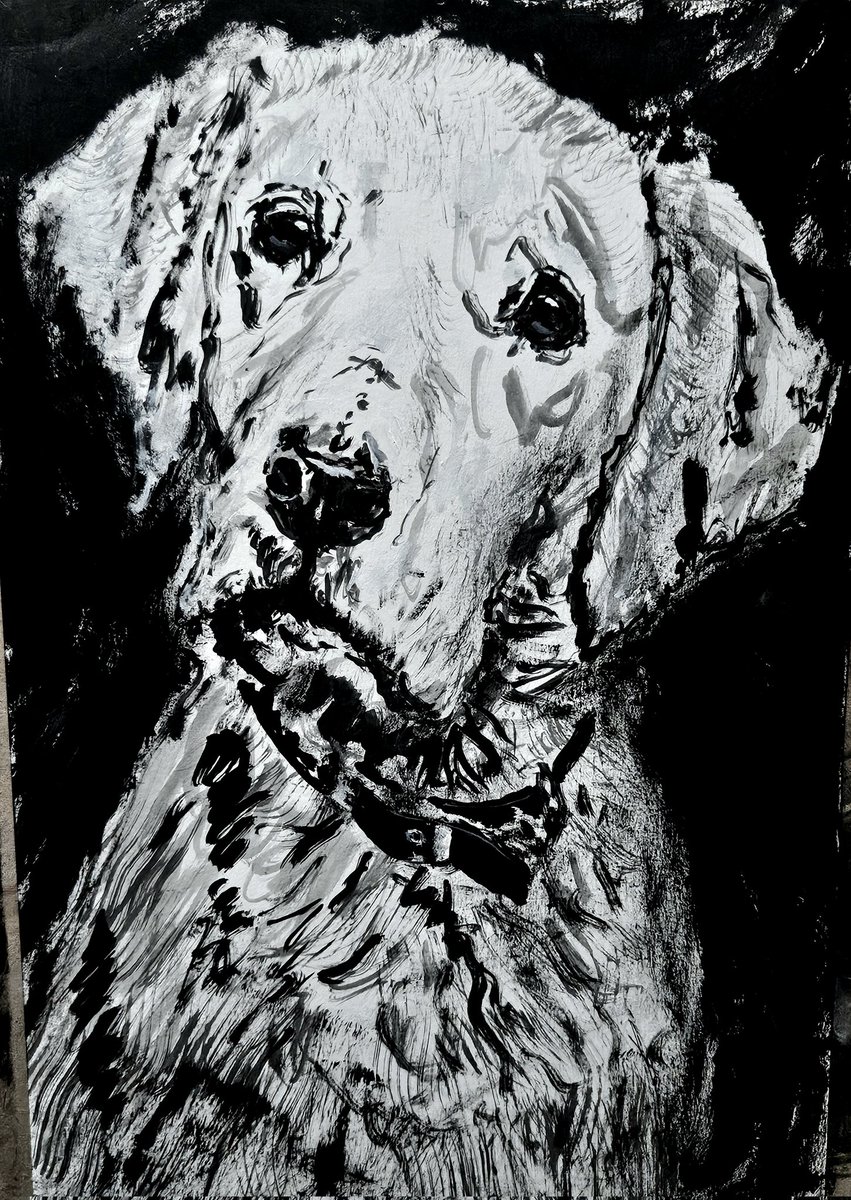 jimjohncor's tweet photo. A Dog's Life ... connect with me on IG https://t.co/UZ8WmalHJA