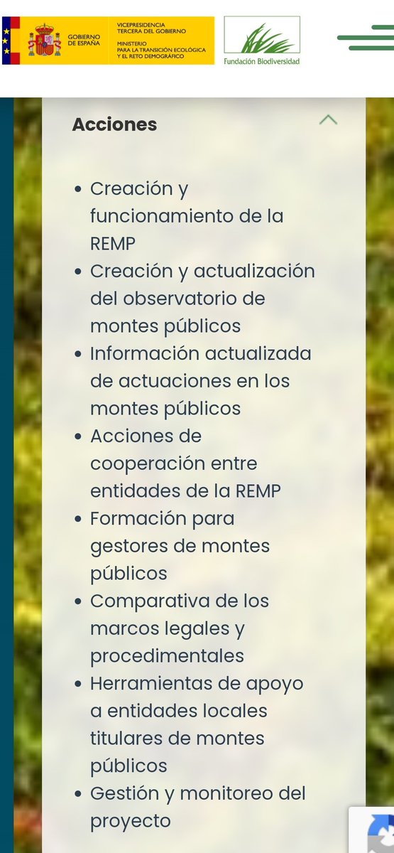ASOCIACIÓN FORESTAL ANDALUZA tweet media