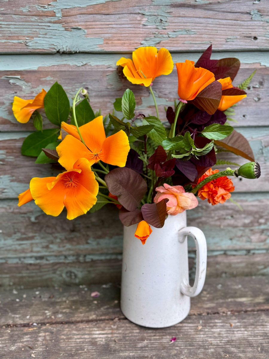 GardenBrocante's tweet photo. This faff wonβt last long but I enjoyed making it π
Weβre going round to friends tonight for a takeaway curry. Itβs nice and relaxing, no one has to cook, we eat, drink and try to be merry ππ
I hope you have a good evening. Z x https://t.co/ZDlnrLJlLP