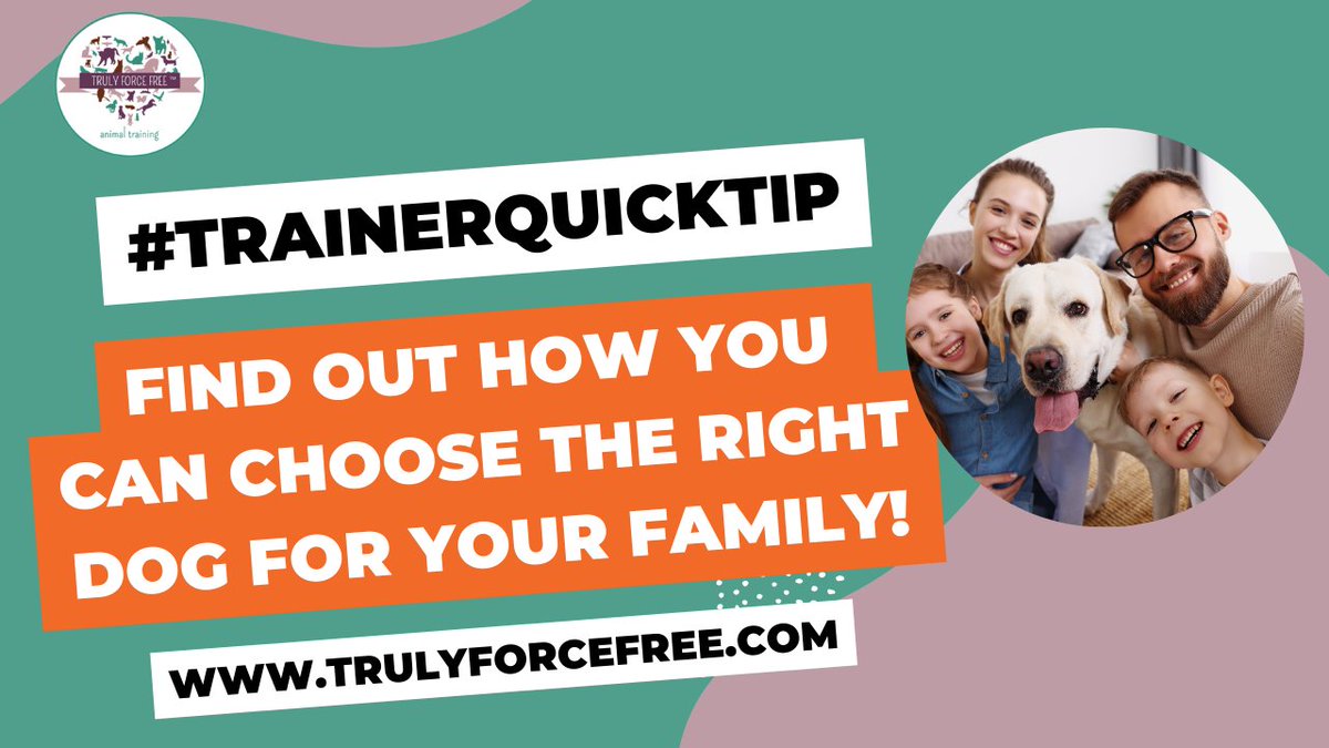 forcefree_pets's tweet image. 🐶👨‍👩‍👧‍👦🏠#trainerquicktip Find Out How To Choose The RIGHT DOG For Your Family! 

Prevent behavior problems by choosing the right dog for your family 👉 youtu.be/bxFN6vIsX_o

#puppytraining #gettingapuppy #puppies #familydog #familydogtraining