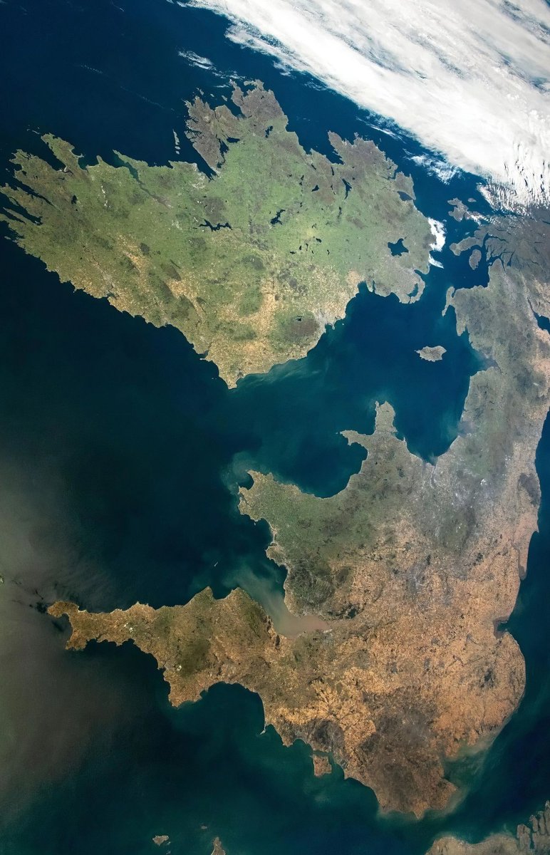 Curiosity tweet media