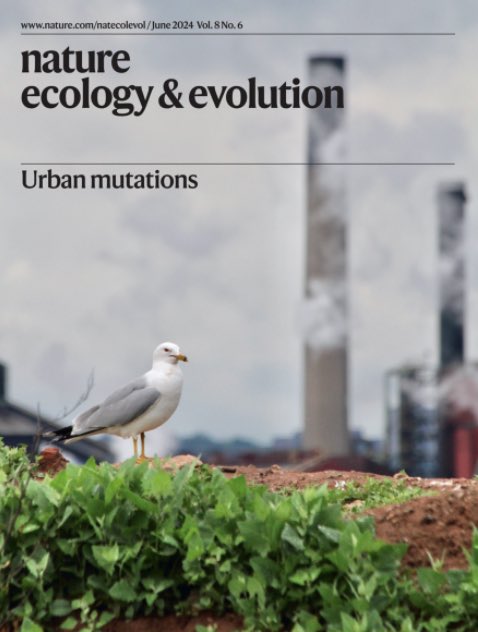 Warren_Booth's tweet image. Our urban mutants paper with @evoecolab made the cover of Nature Ecology and Evolution. Very cool. @VT_Entomology @VTCals @FralinLifeSci