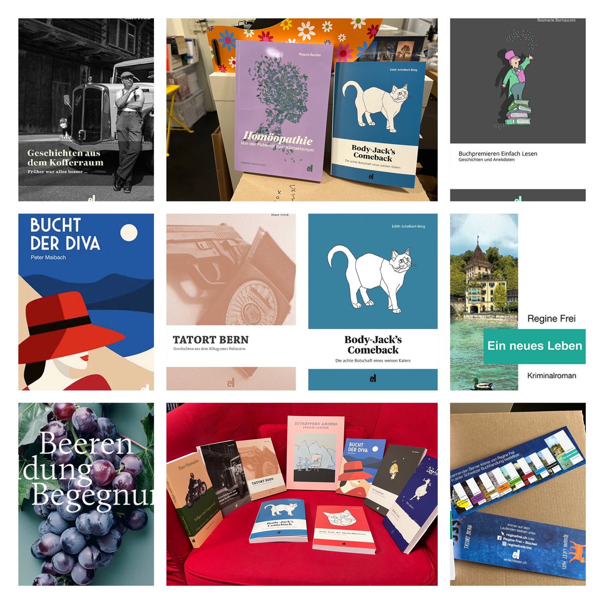 Einfach Lesen Bern tweet media