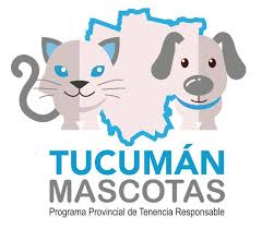 DarioMonterosOK's tweet photo. Renovación del Programa “Tucumán Mascota”.

Ver la firma de este convenio nos pone muy contentos. Quien habla, cuando era intendente, tuvo una participación muy activa con los centros asistenciales. Nos crea un vínculo con el vecino. https://t.co/OsmsZek7jF