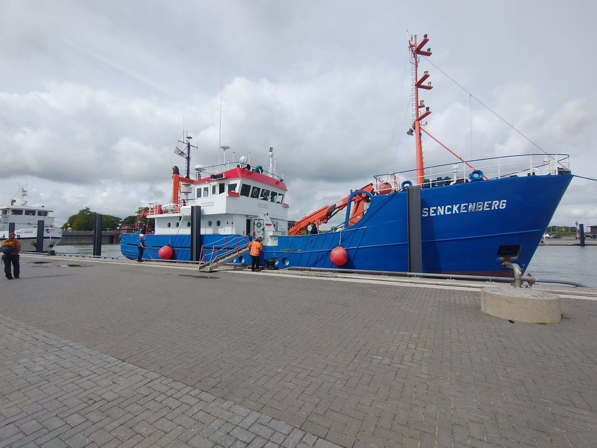 PaleoGeochemist's tweet photo. In the north sea with @unil , @sciences_UNIGE, @unifr PhD students for a #CUSO field trip Wonderful Jade Bay  at Senckenberg marine institute ,#Wilhelmshaven https://t.co/mySUVJ4piE