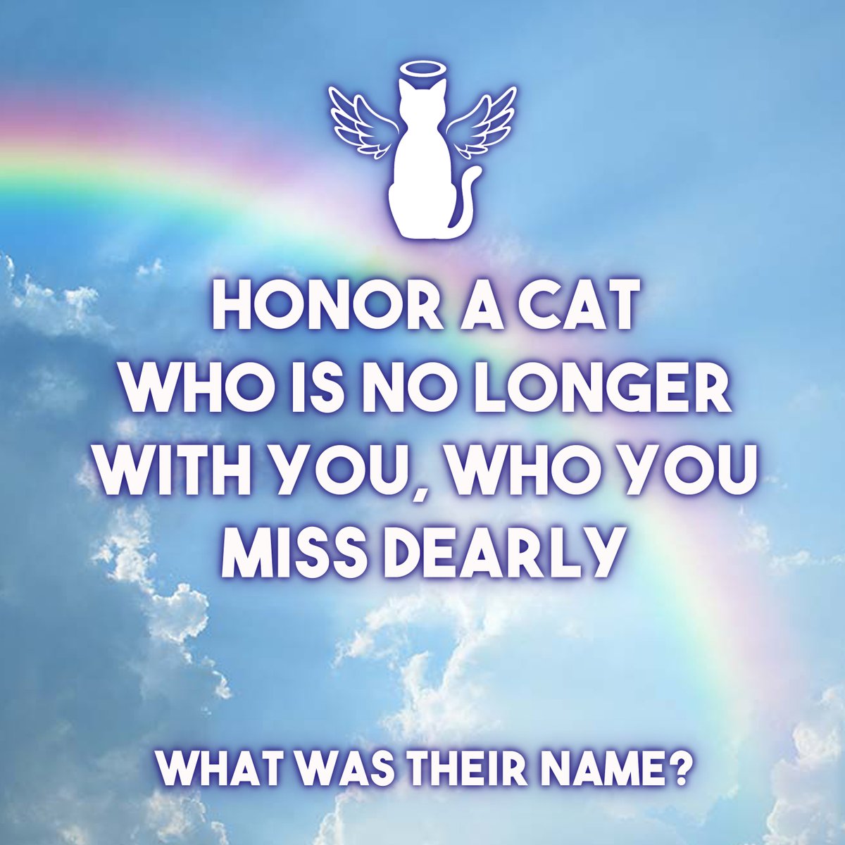 Today is World Pet Memorial Day... join us in honoring pets that may not be by our sides anymore, but they will forever live in our hearts 🌈❤️🧡💛💚💙💜

#WorldPetMemorial #PetMemorialDay