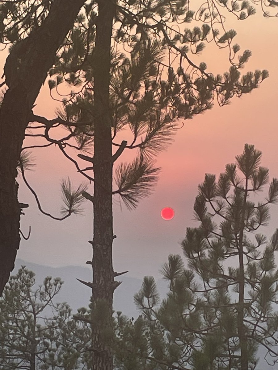 negics's tweet image. #BestSunset #Kumaon #Kasardevi