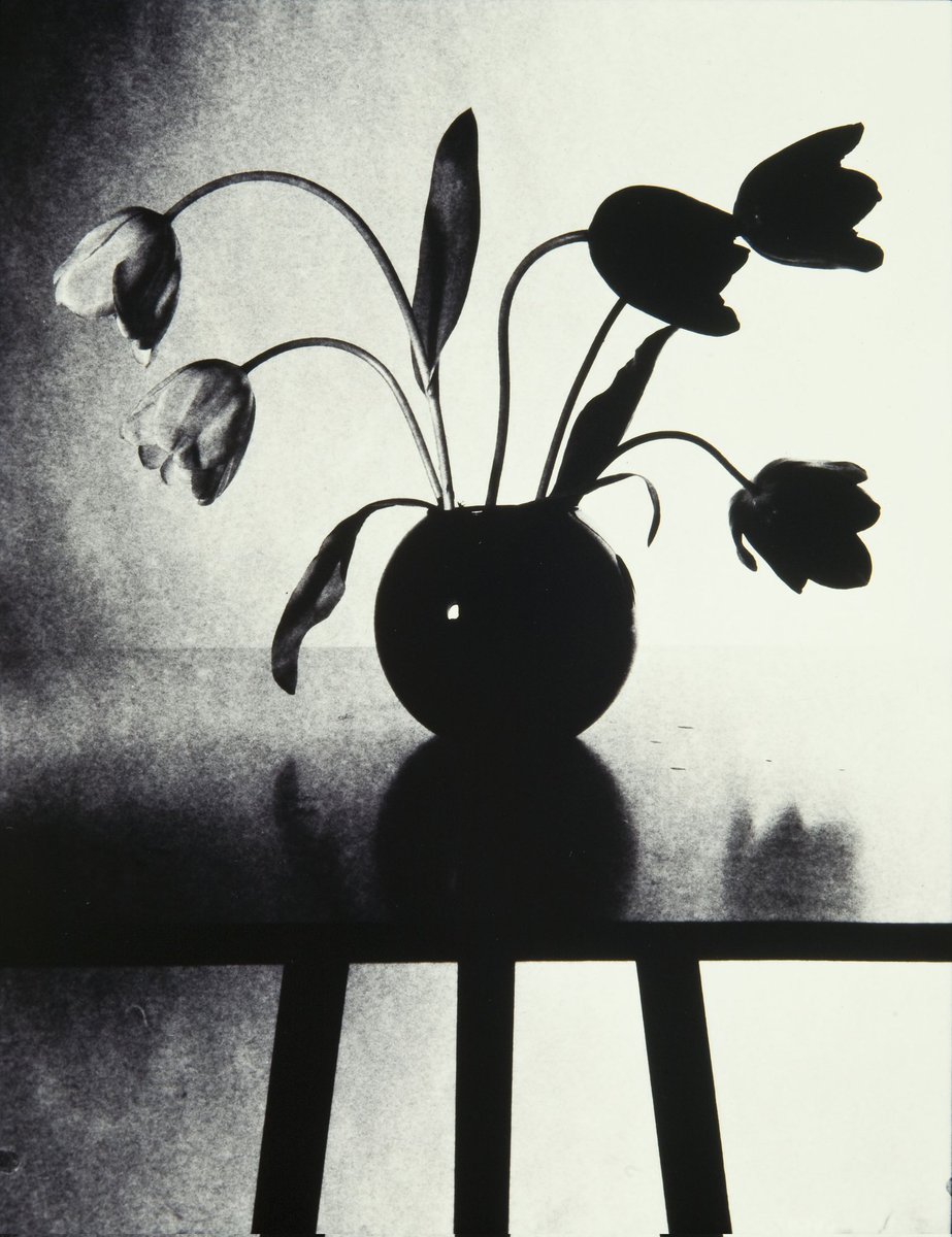 MuseuNac_Cat's tweet photo. @fotocolectania @antonigarau ens introdueix #ToniCatany barrejant la trajectòria professional del fotògraf amb els seus records personals: com el coneix, com li presenta #Fontcuberta, com el veu crear espais molt personals, el protagonisme del temps en les seves obres https://t.co/DcuWkqwRbA
