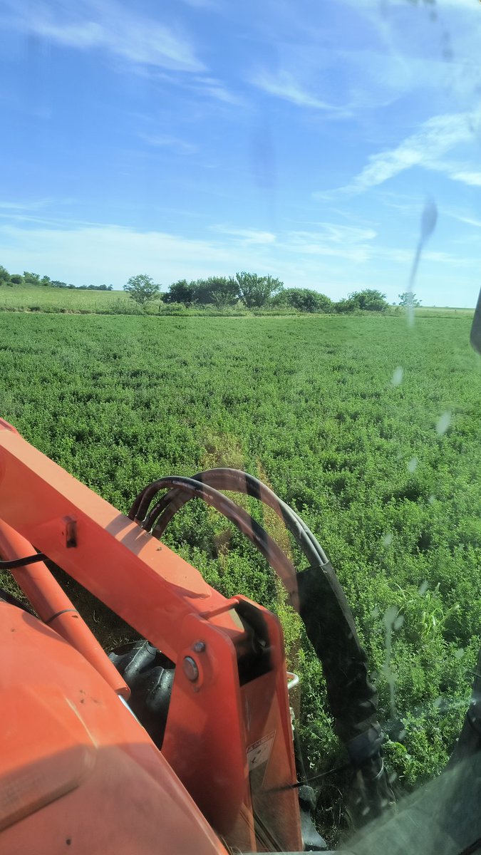 AmandaT1986's tweet photo. Hay down! O thought our field could sponsor Kansas State Football, being so purple. 🫣#firstcutting #hay2024 #alfalfa #prettypurpleflowers #rainracing #misadventureswithamanda #kstate https://t.co/eOo9Fg21vo