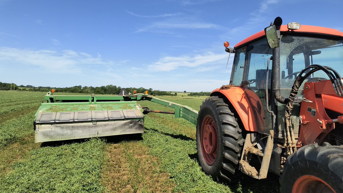 AmandaT1986's tweet photo. Hay down! O thought our field could sponsor Kansas State Football, being so purple. 🫣#firstcutting #hay2024 #alfalfa #prettypurpleflowers #rainracing #misadventureswithamanda #kstate https://t.co/eOo9Fg21vo