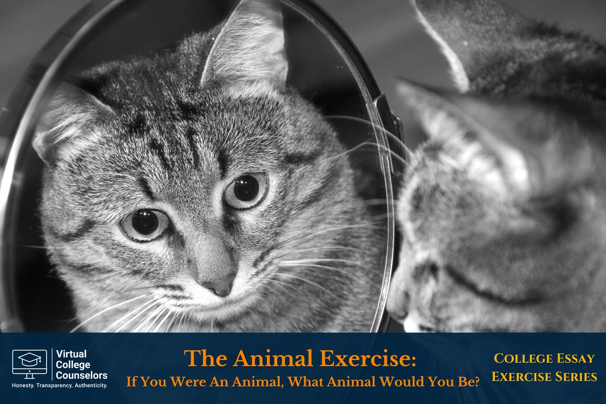 VirtualCollegeC's tweet image. ✍️Ready to make your #college essay stand out? 🦅Explore how the symbolism behind animals can spark unique, creative, and meaningful #essay ideas! 🐢
🔗virtualcollegecounselors.com/post/the-anima… 
#education #writing #university #student