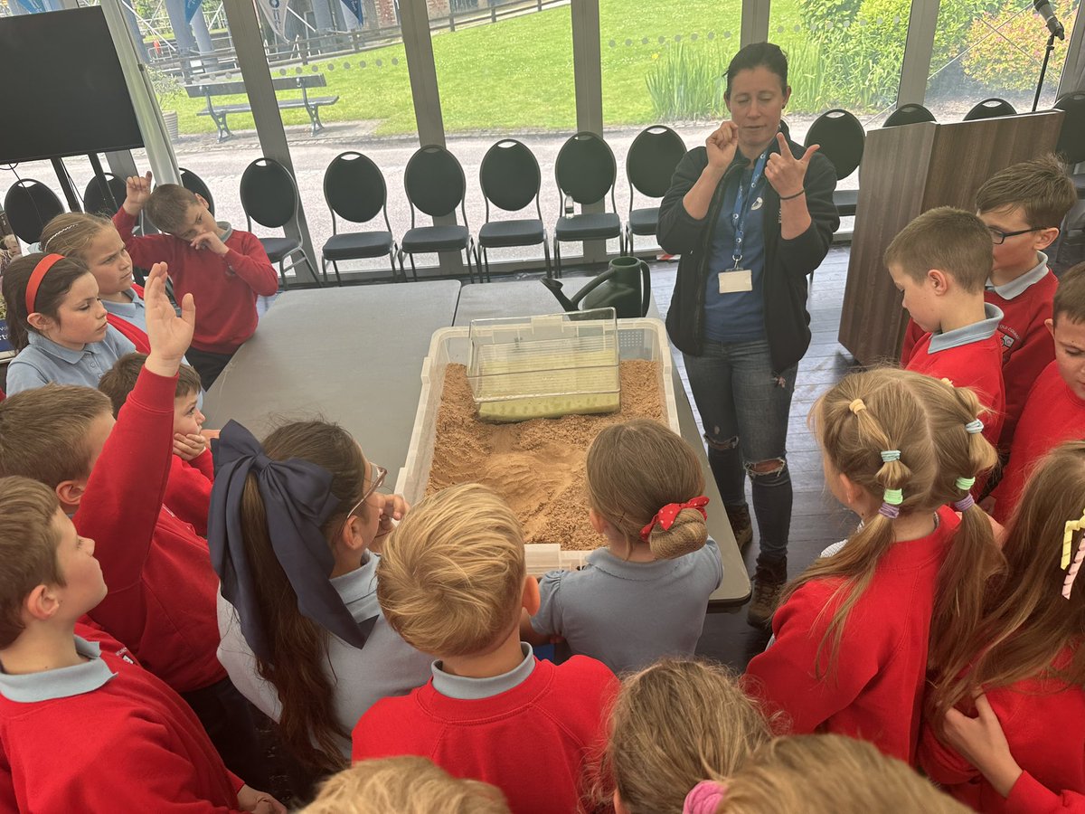 Newfold Year 4 tweet media