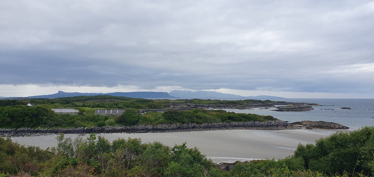 Suzie Fisher tweet media