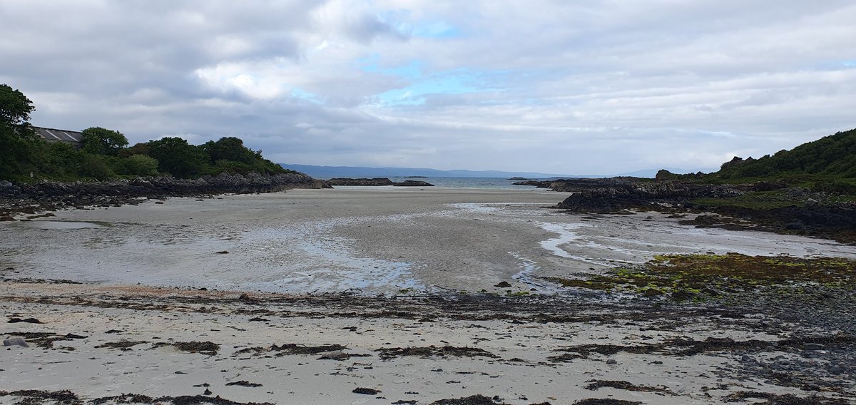 Suzie Fisher tweet media