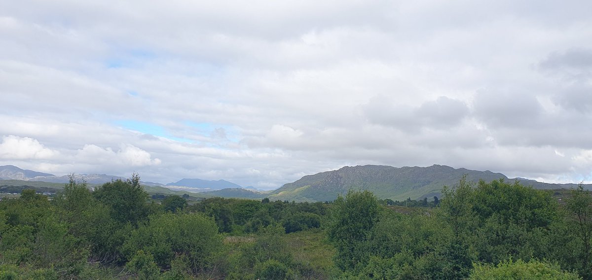 Suzie Fisher tweet media