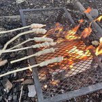 Photo by Forest School ACE (@ForestSchoolACE)