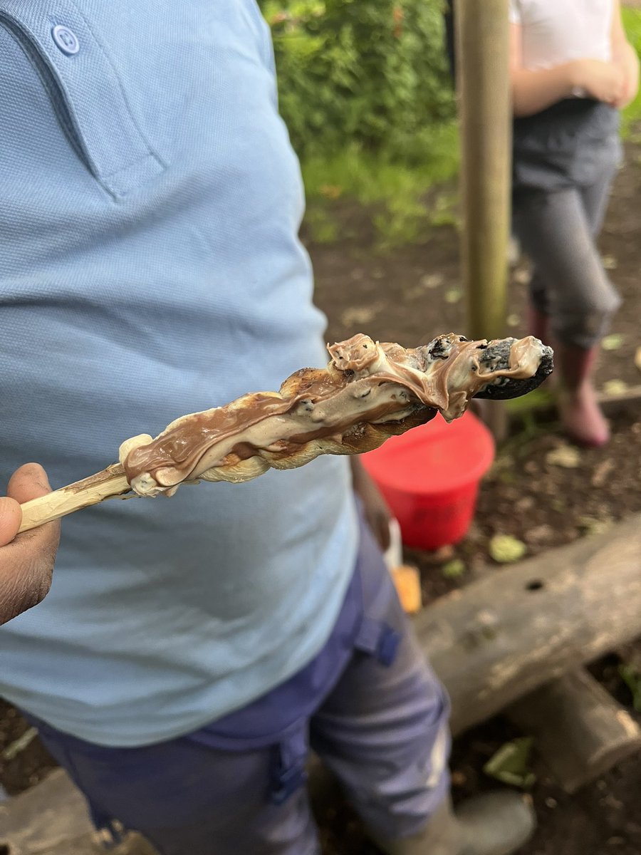 Forest School ACE tweet media