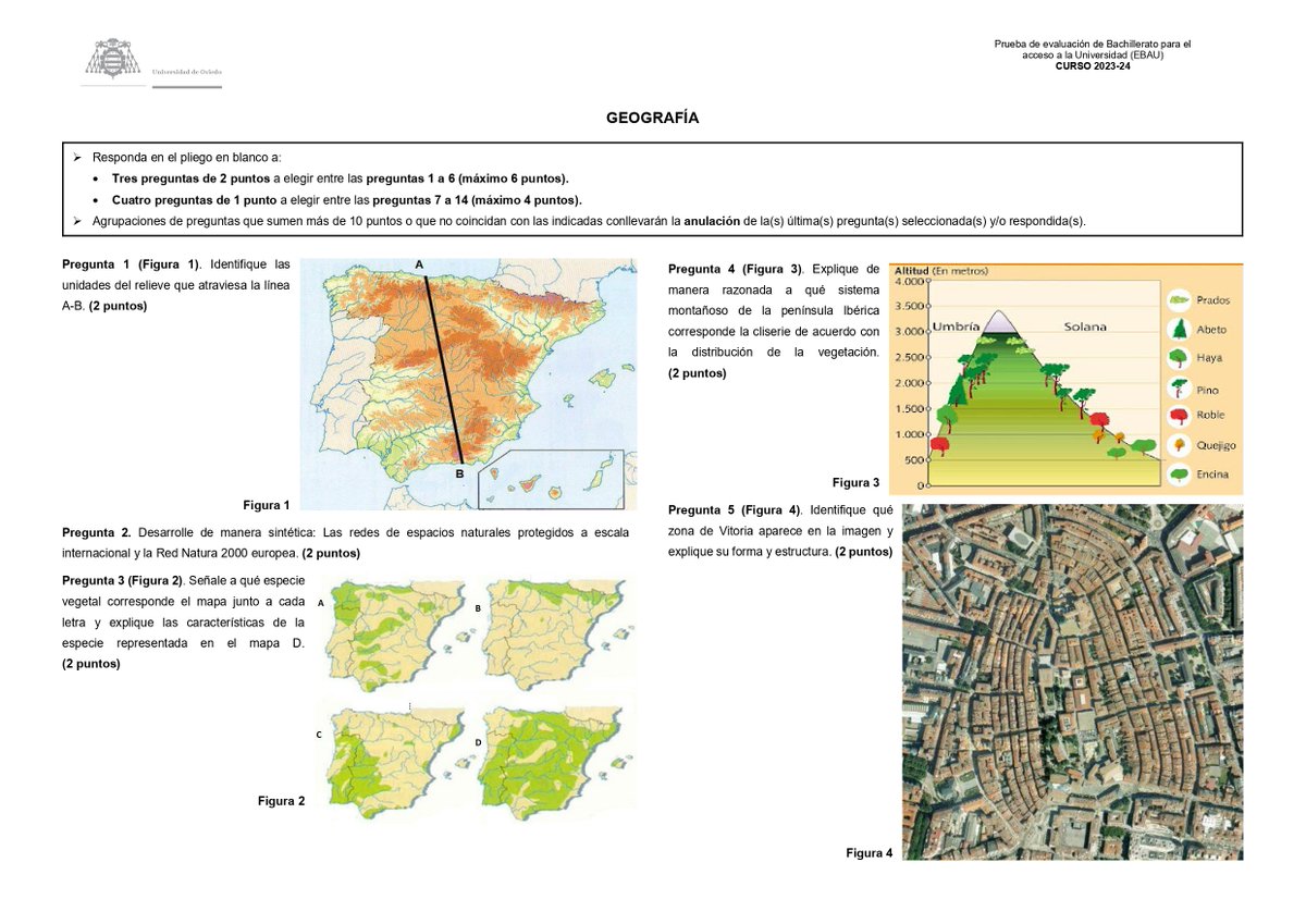 Paco Fernández #soymaestro #yomecuro tweet media