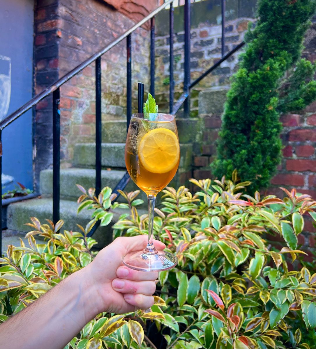ArtSchoolCellar's tweet photo. Looking for an alcohol-free option? ๐น
Try our Bianco Spritz mocktail! Crafted with Conviv Bianco 0% Vermouth, Copenhagen Sparkling Tea Blue, a hint of sugar, fresh mint, and zesty lemon ๐๐ฟ
Perfectly balanced and extremely refreshing! ๐ง
#mocktail #alcholfree #liverpoolbar https://t.co/v8lVkQbl82