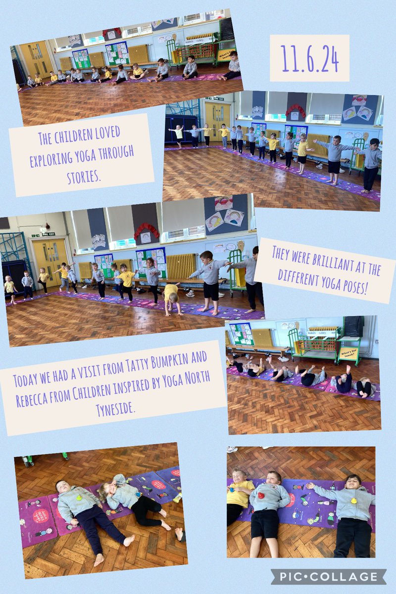 Collingwood Primary School tweet media