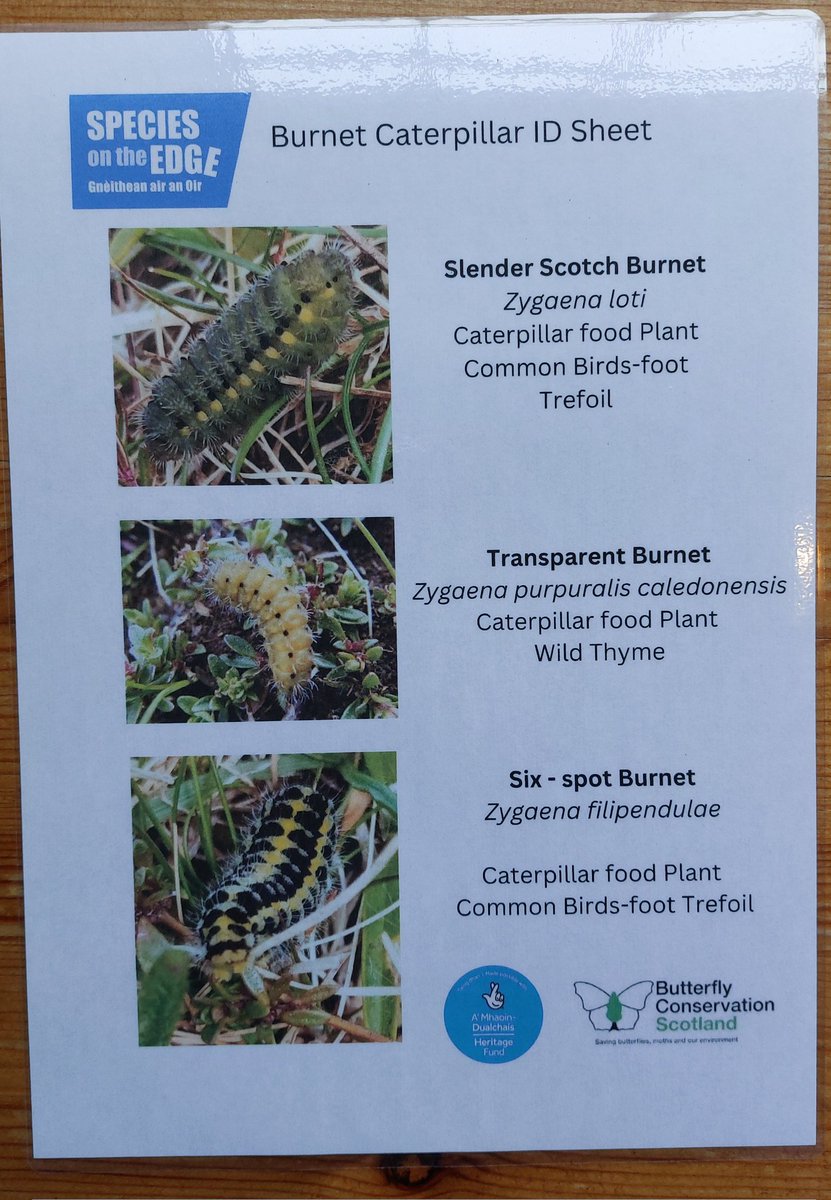 Claire Arnold - Member Pioneer tweet media