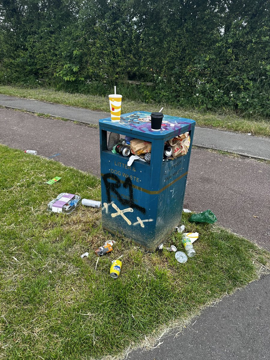 Councils are, sadly, part of Britain’s litter problem.  Too many of them just don’t empty their bins regularly enough. There are no excuses for them not doing this.
