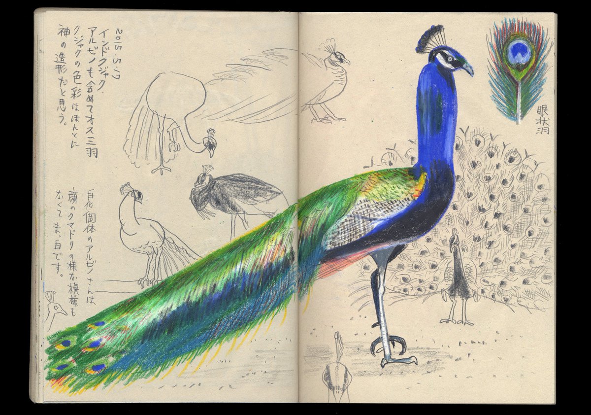 こんな感じで、腱鞘炎になった原因の描き殴っていた時期の2013～2015年からのスケッチの本です。

よろしくお願いいたします^^ 