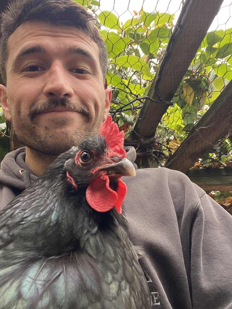 De Loose Cannon tweet media