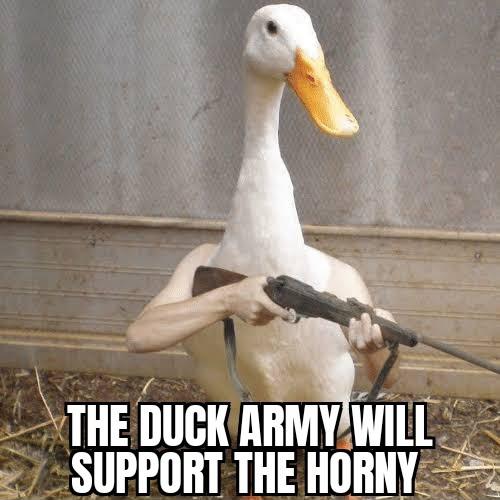 duckerc20's tweet photo. $duck 🦢 //  鸭子 

The legendary duck named Bao, who symbolizes good fortune, luck, and success 🍀

ERC20 token launching on Uniswap - Exact launch date will be shared here later.

#duck #erc20 #eth #crypto #memecoin #duckarmy 

TG : not disclosed yet
WEB : not disclosed yet https://t.co/j5CrxdGPSX