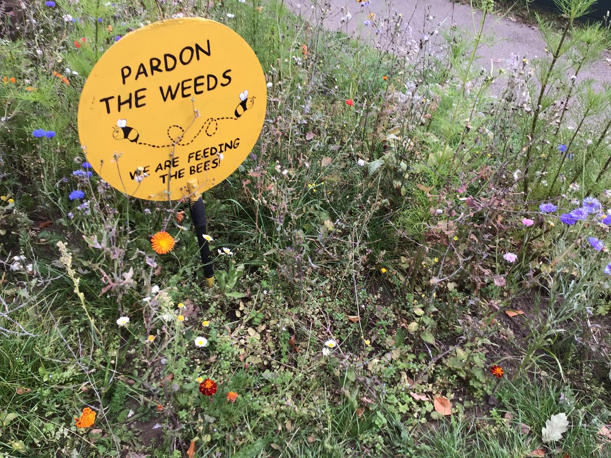 Join me and colleagues from Sheffield and Leicester at our Climate Change and Sustainability - Research Engaged Practice Network (REPN) online webinar - Wed 26 June (4.00-5.15pm) events.teams.microsoft.com/event/49aa294b…