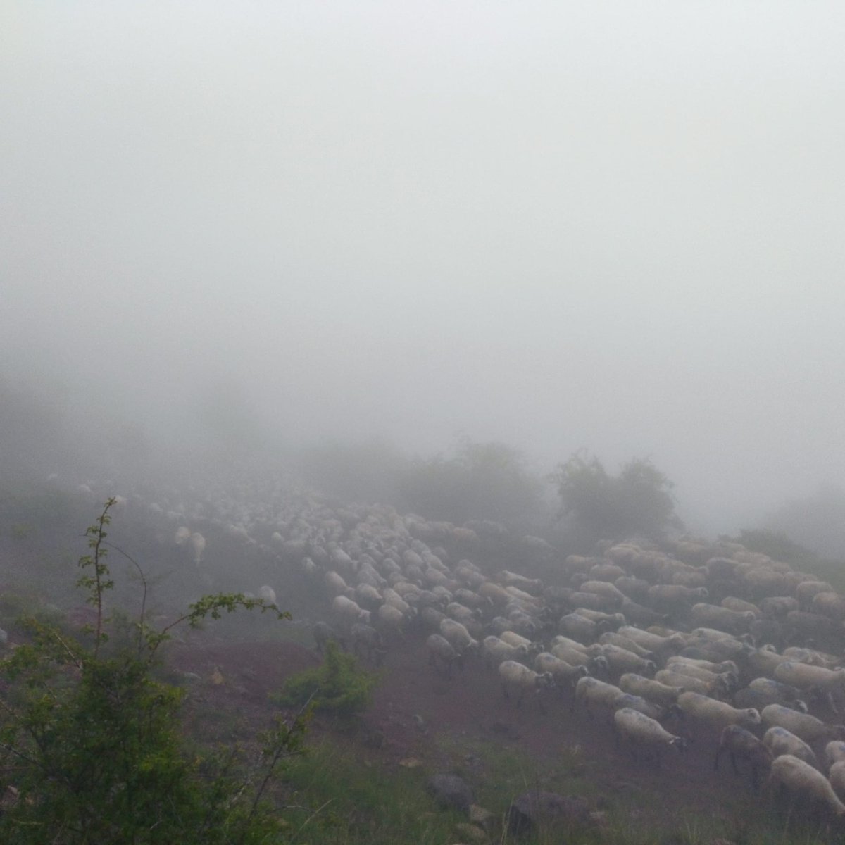 Avui jornada complicada a la Serra del Montgrony...