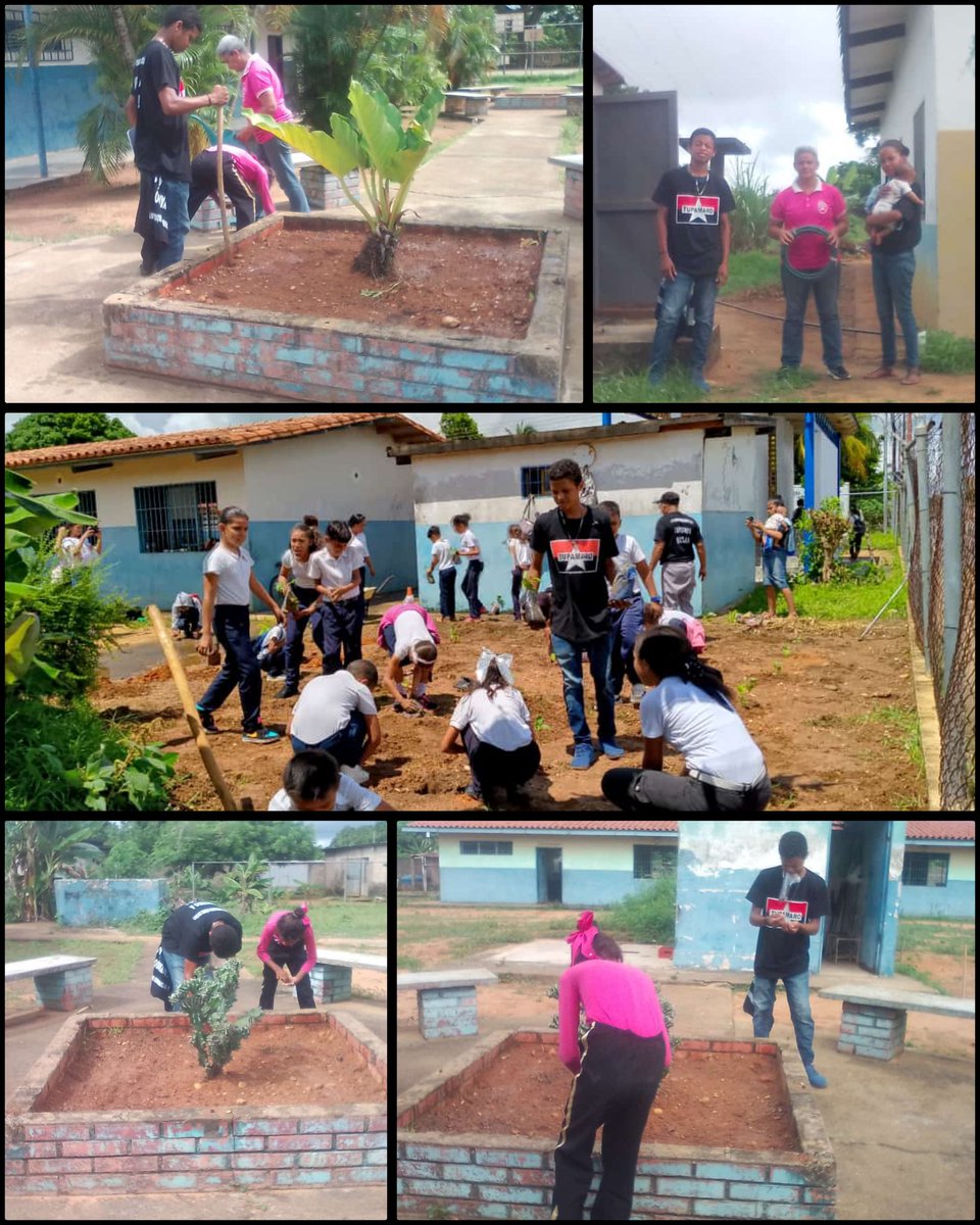"El Trabajo en equipo es una labor donde se combina las fortalezas y complementan la unión"

Sec de Juventud realiza siembra de 41 plantas de berenjena en la E.B Francisco de Miranda en el Mcpio Ezequiel Zamora, impulsando la producción popular en el semillero de la patria