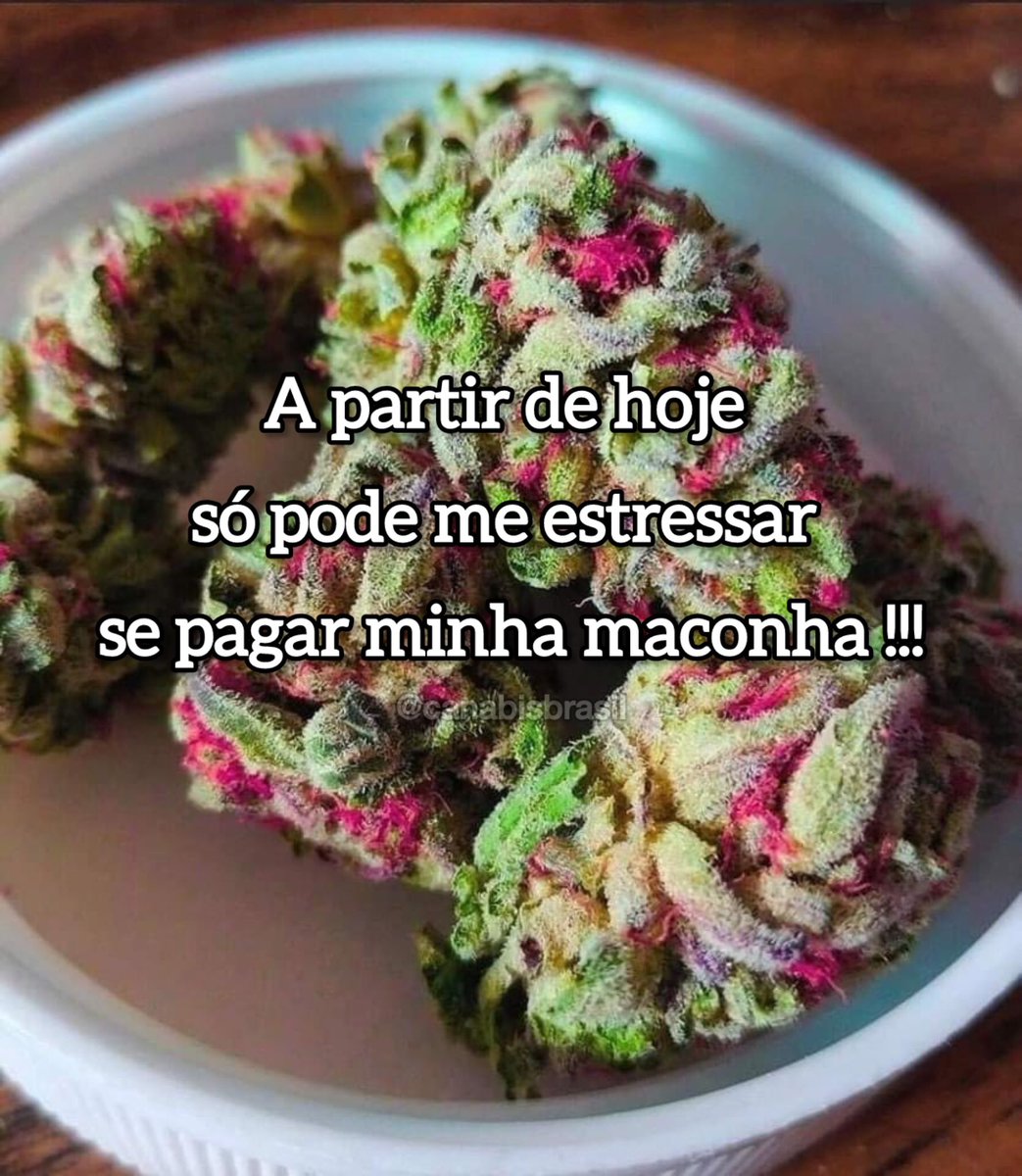 Chapei Oficial (@chapei_4i20) on Twitter photo 