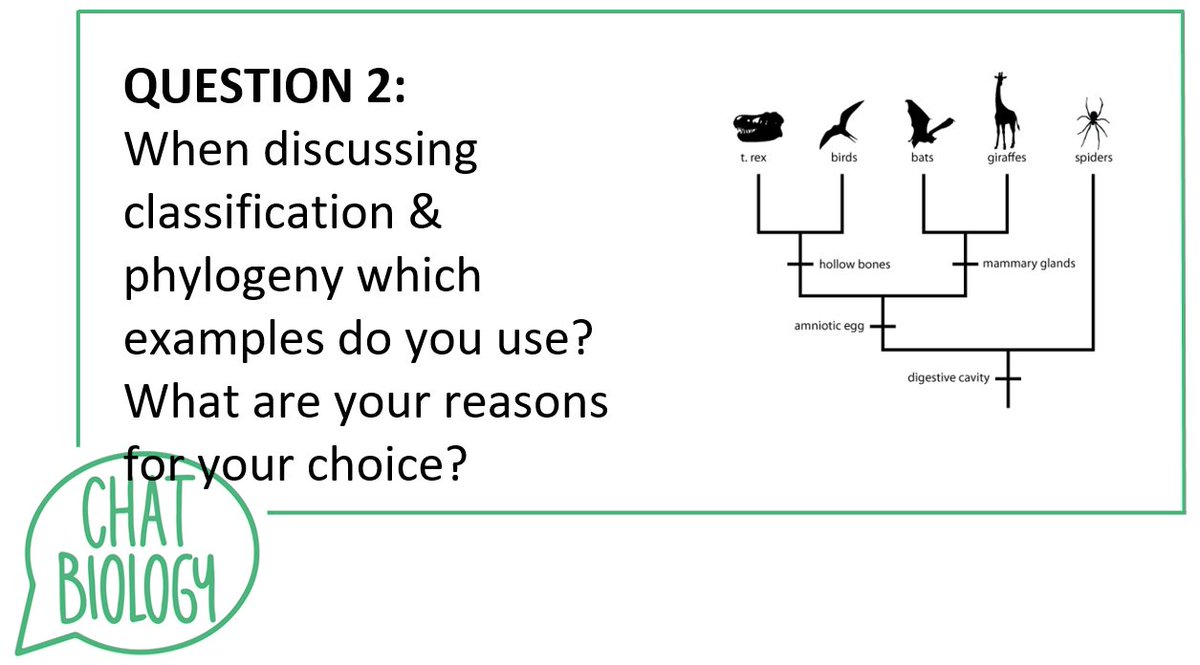 Chat Biology tweet media