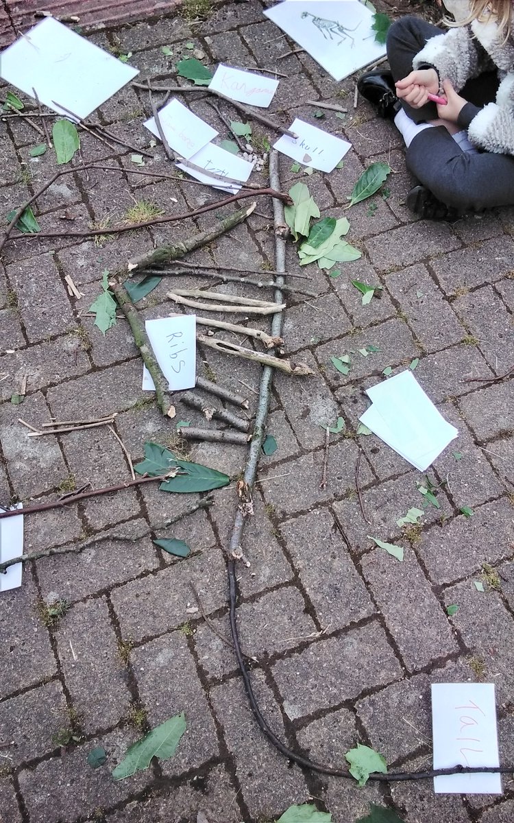 Grenoside Primary (@grenoprimary) on Twitter photo <a href="/GrenoPrimary/">Grenoside Primary</a> Y4s made animal skeletons out of natural materials today to find out more about how they are similar to human skeletons. They found lots of similar bones. #primaryscience <a href="/GrenoPrimary/">Grenoside Primary</a> Y4s made animal skeletons out of natural materials today to find out more about how they are similar to human skeletons. They found lots of similar bones. #primaryscience