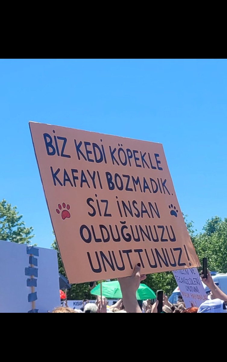 Gozde Alin tweet media