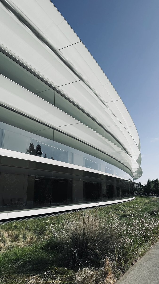 Thiago Sanchez tweet media