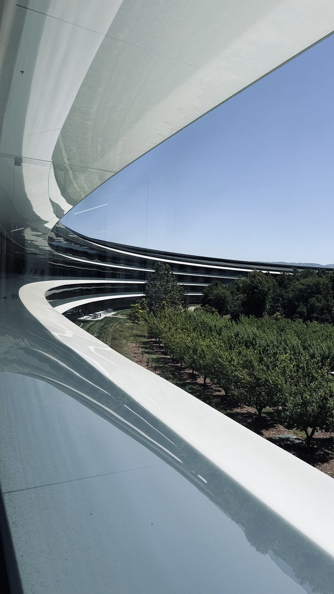 Thiago Sanchez tweet media