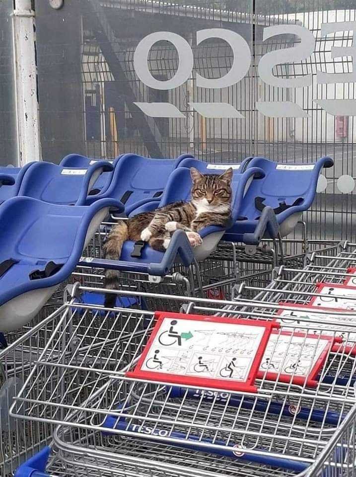 My brother sent this  😆He saw this today