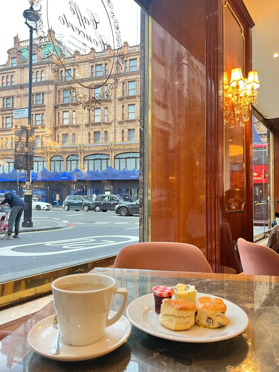 TheOtherGuysPS3's tweet photo. I went to Caffe Concerto and the coffee and scones were amazingly delicious. https://t.co/bXbeIr9H5N
