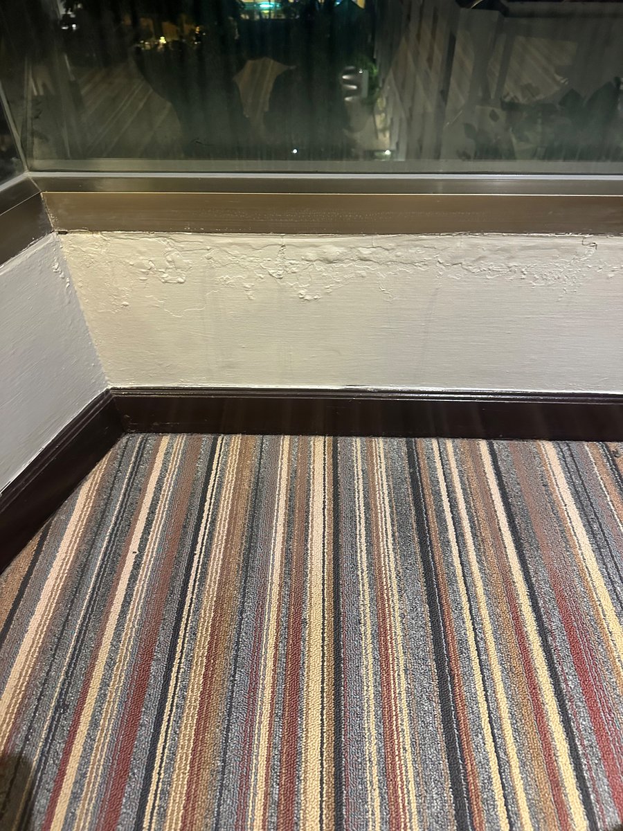 krystalclair's tweet photo. @hotelscomhelp one last thing! The walls behind the beds were damp, as were the ones round the windows. Oh and there was MOULD growing IN the lamps. https://t.co/Rhw8th3Otr