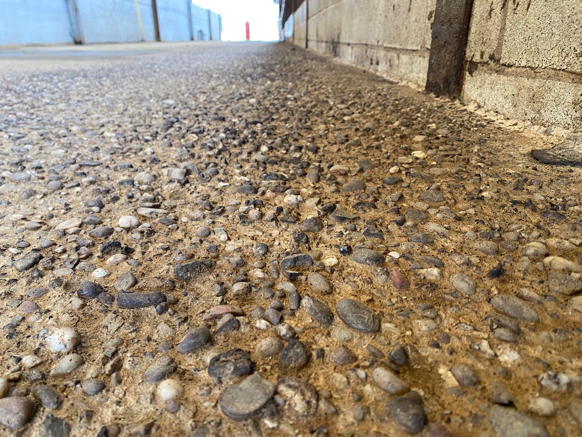 ConceptCowhouse's tweet photo. Feed passage coating completed in Shropshire today. We applied a sub-screed prior to applying our resin due to the condition of the deteriorated concrete. https://t.co/BkmNlwxcRT